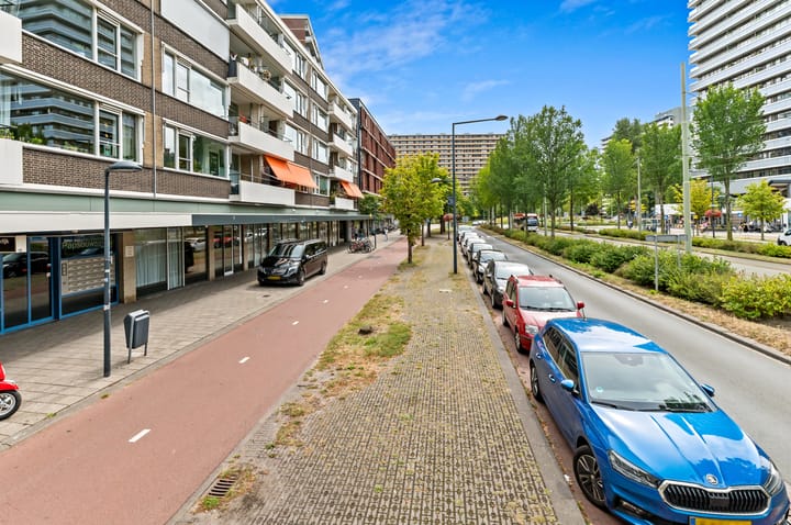 Foto 4 van Papsouwselaan 267