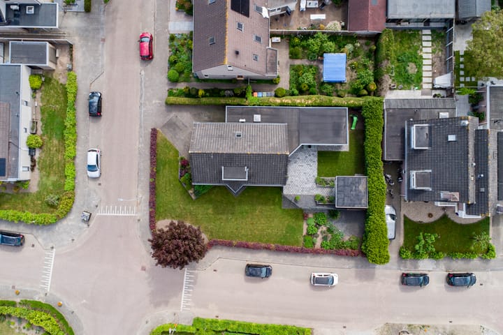 Foto 30 van Meidoorn 2