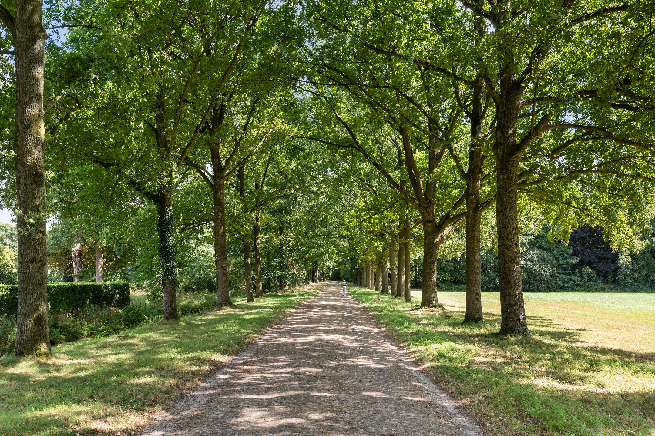 Photo 60 of Haaksbergerweg 7