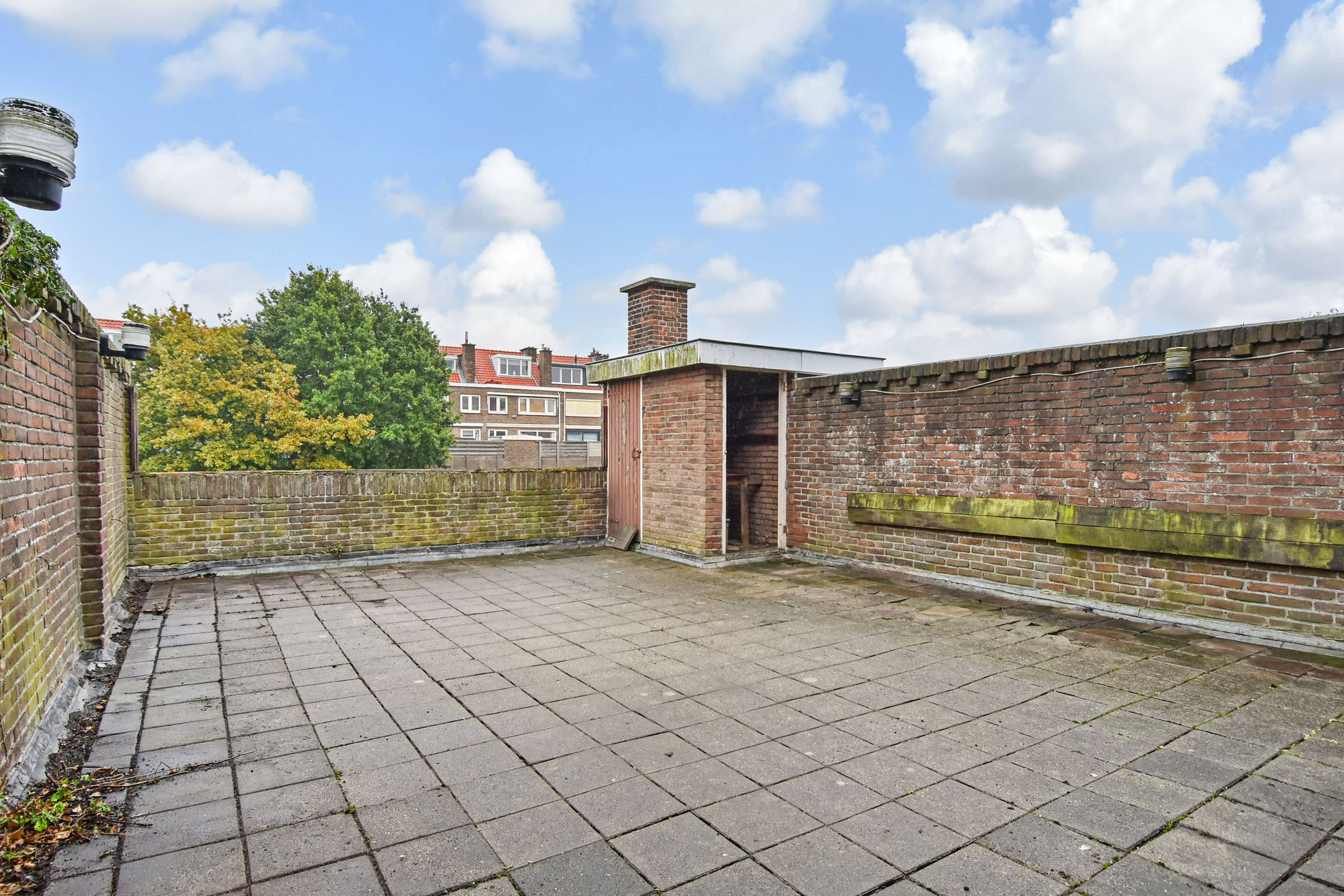 Foto 36 van Sinaasappelstraat 175