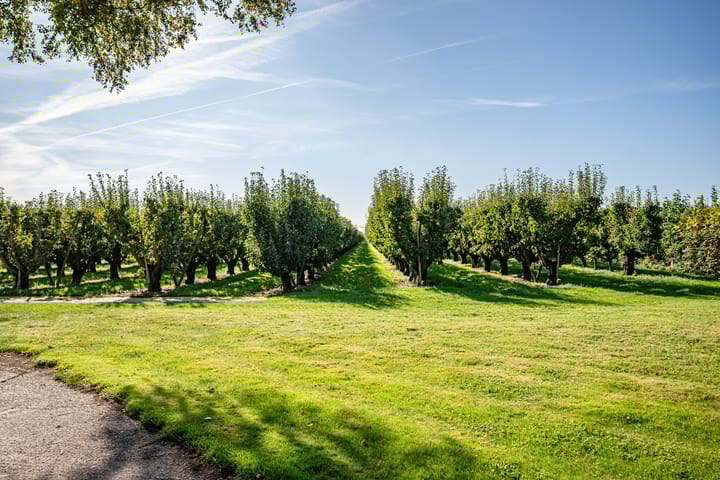 Foto 10 van Steenwijkerweg 8-1