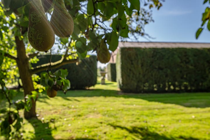 Foto 17 van Steenwijkerweg 8-1