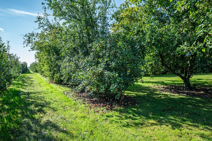 Foto 20 van Steenwijkerweg 8-1