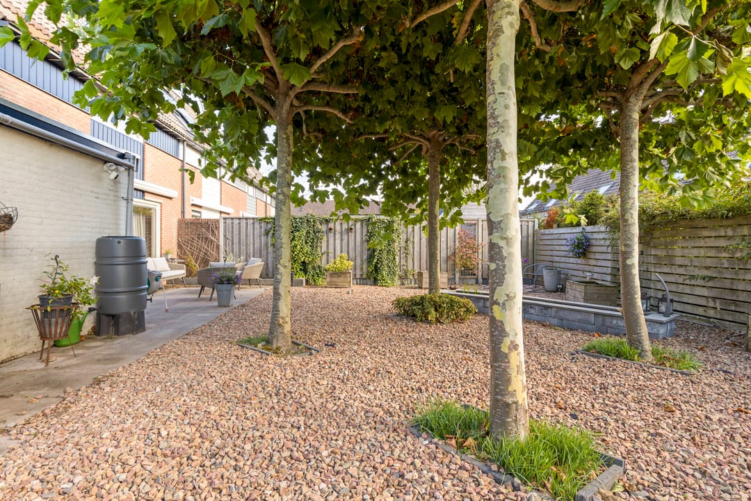 Foto 31 van Soelekerkestraat 7