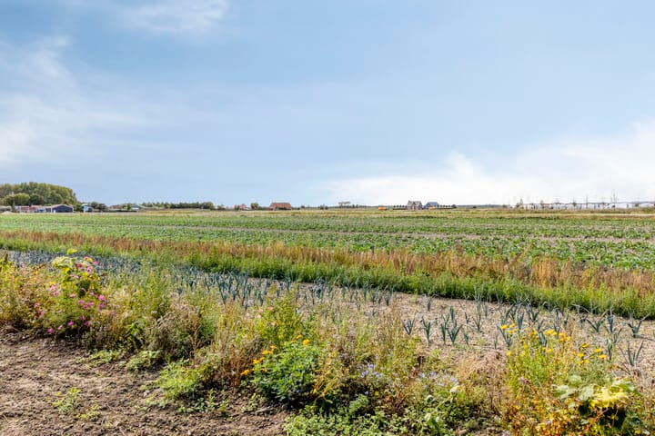 Foto 34 van Soelekerkestraat 7