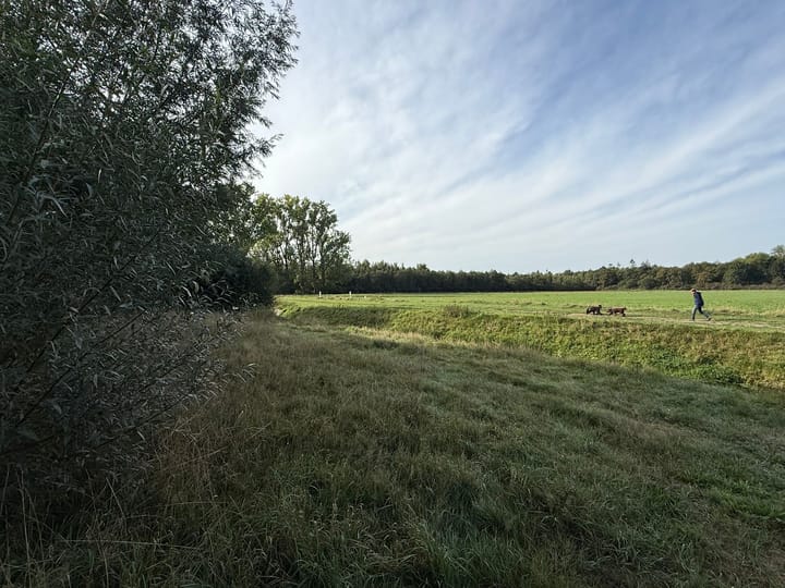 Foto 43 van Hudsonring 58