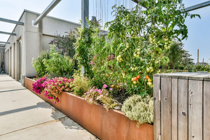 Foto 26 van Tip Maruggstraat 8-B