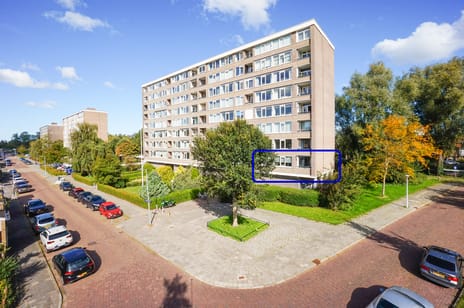 undefined main image