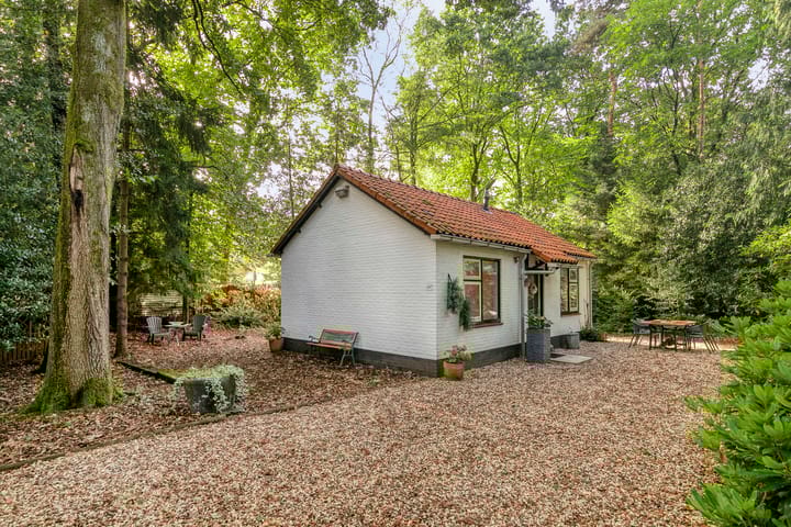 Mosselsepad 24-K main image