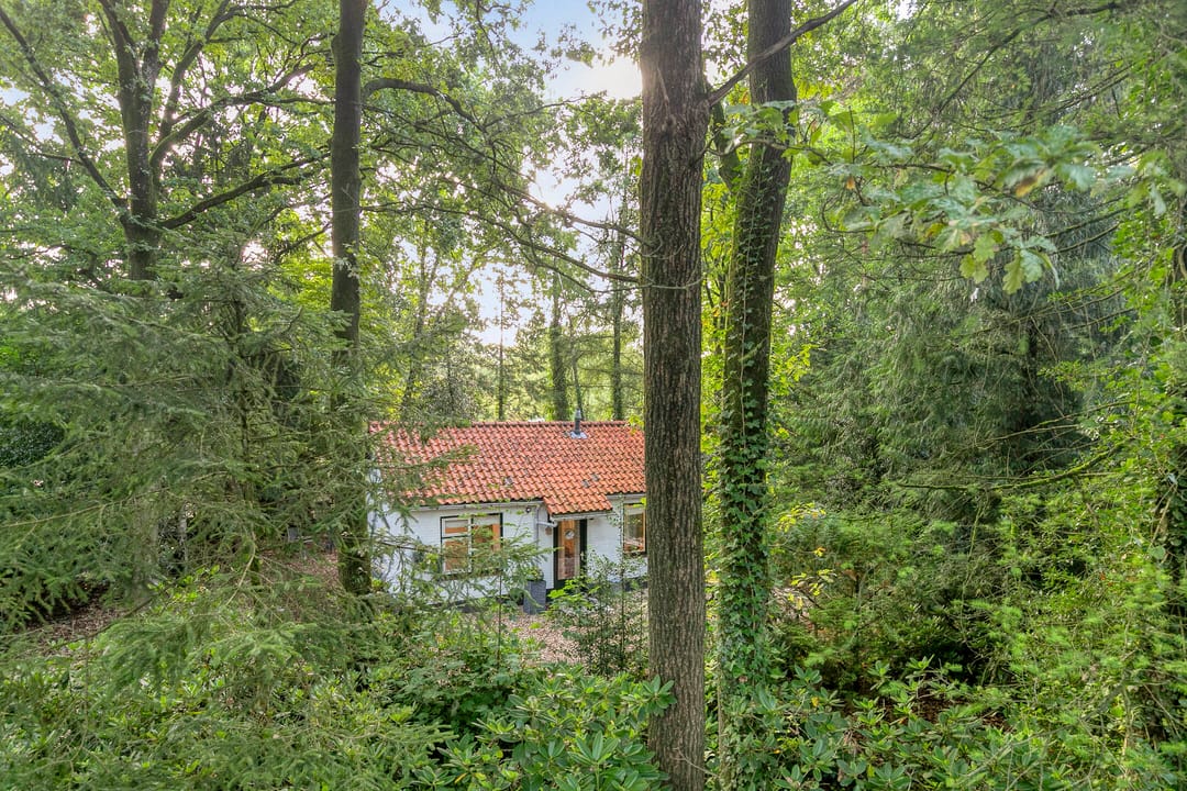 Photo 2 of Mosselsepad 24-K