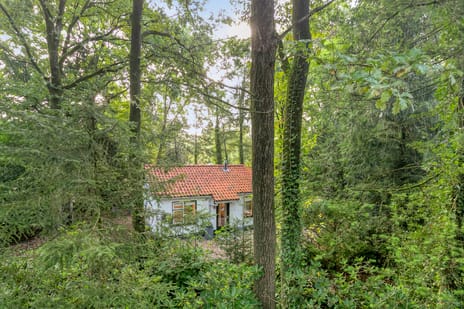 Mosselsepad 24-K secondary image