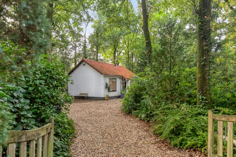 Mosselsepad 24-K tertiary image