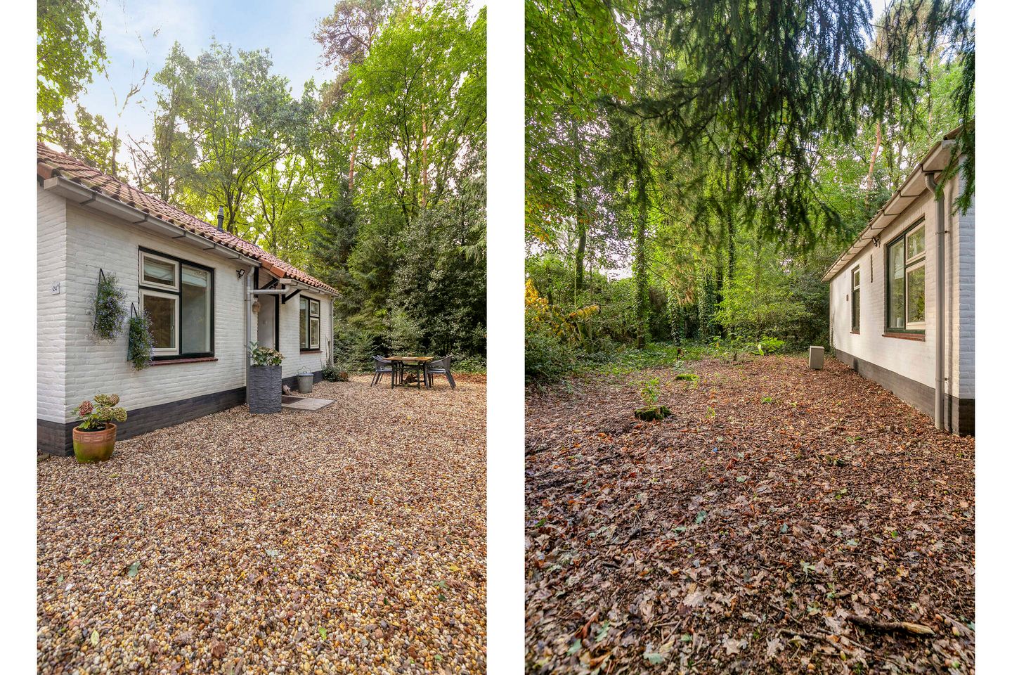 Photo 4 of Mosselsepad 24-K