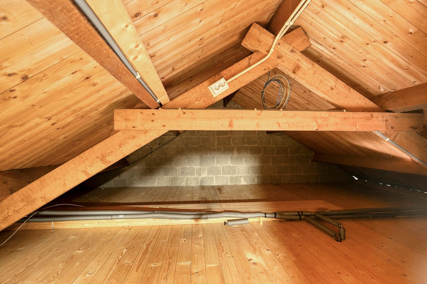 Photo 20 of Mosselsepad 24-K