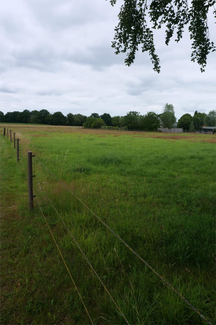 Foto 65 van Langeweg 15