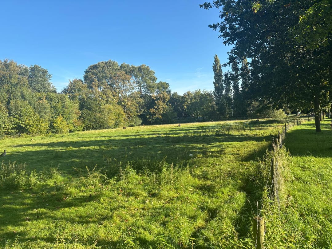 Foto 46 van Teding van Berkhoutlaan 19