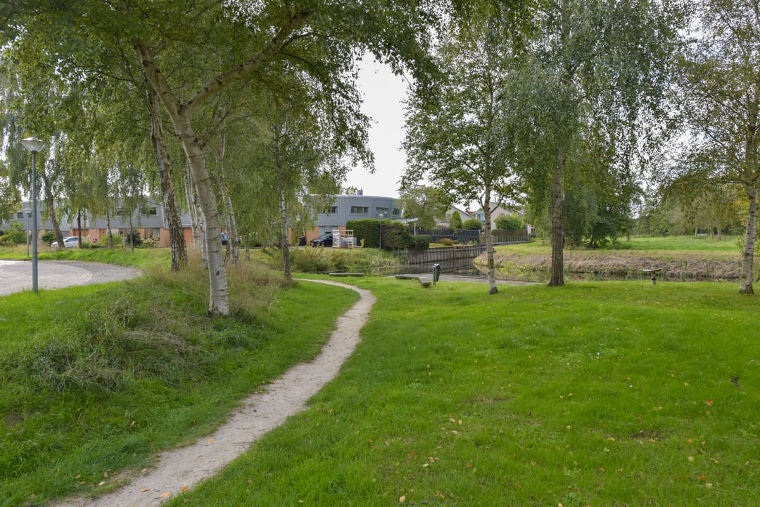 Photo 28 of Cees Buddingh'hof 163