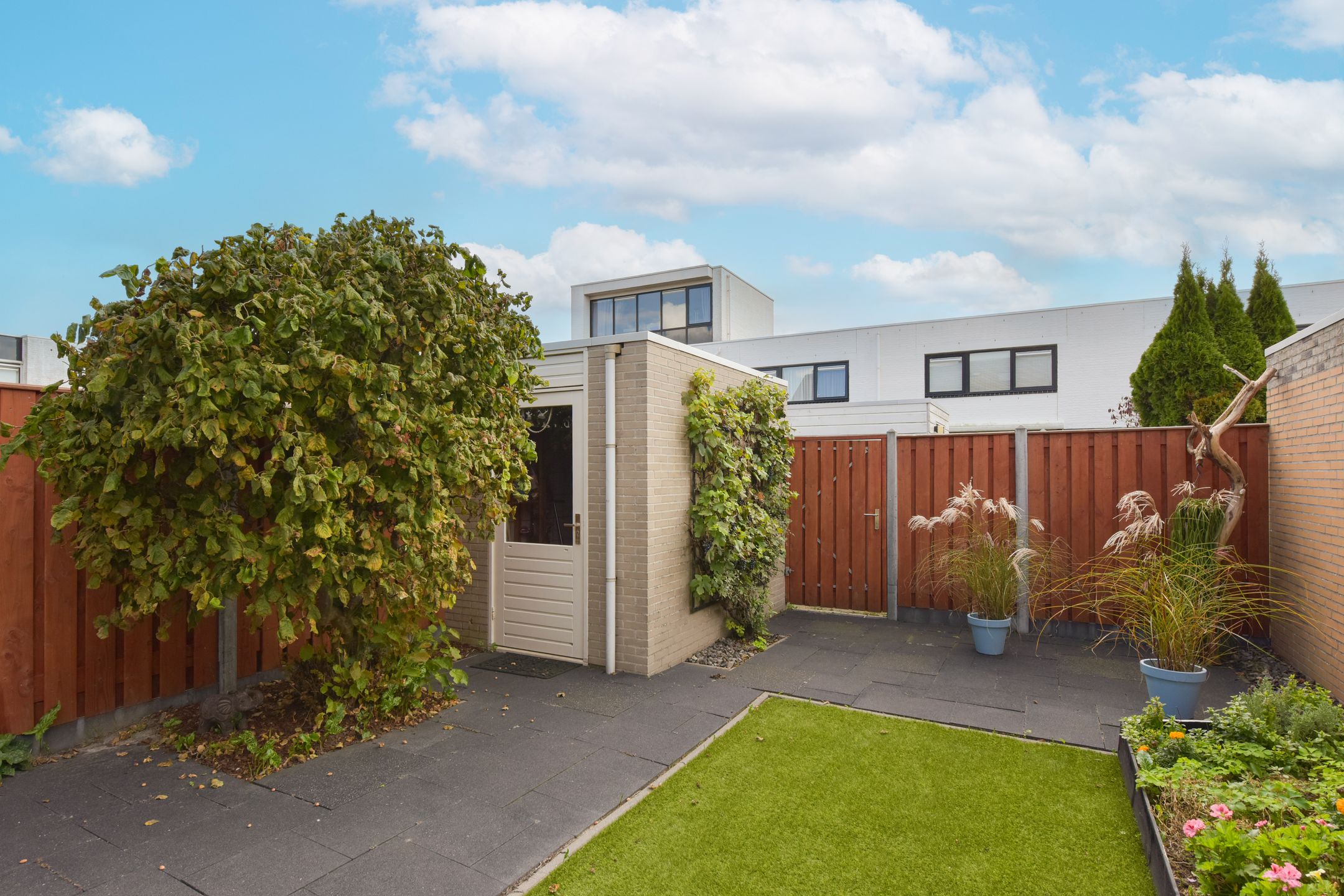 Foto 24 van Cees Buddingh'hof 114