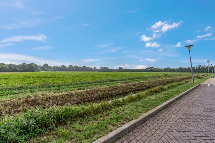 Foto 35 van Maagd 15