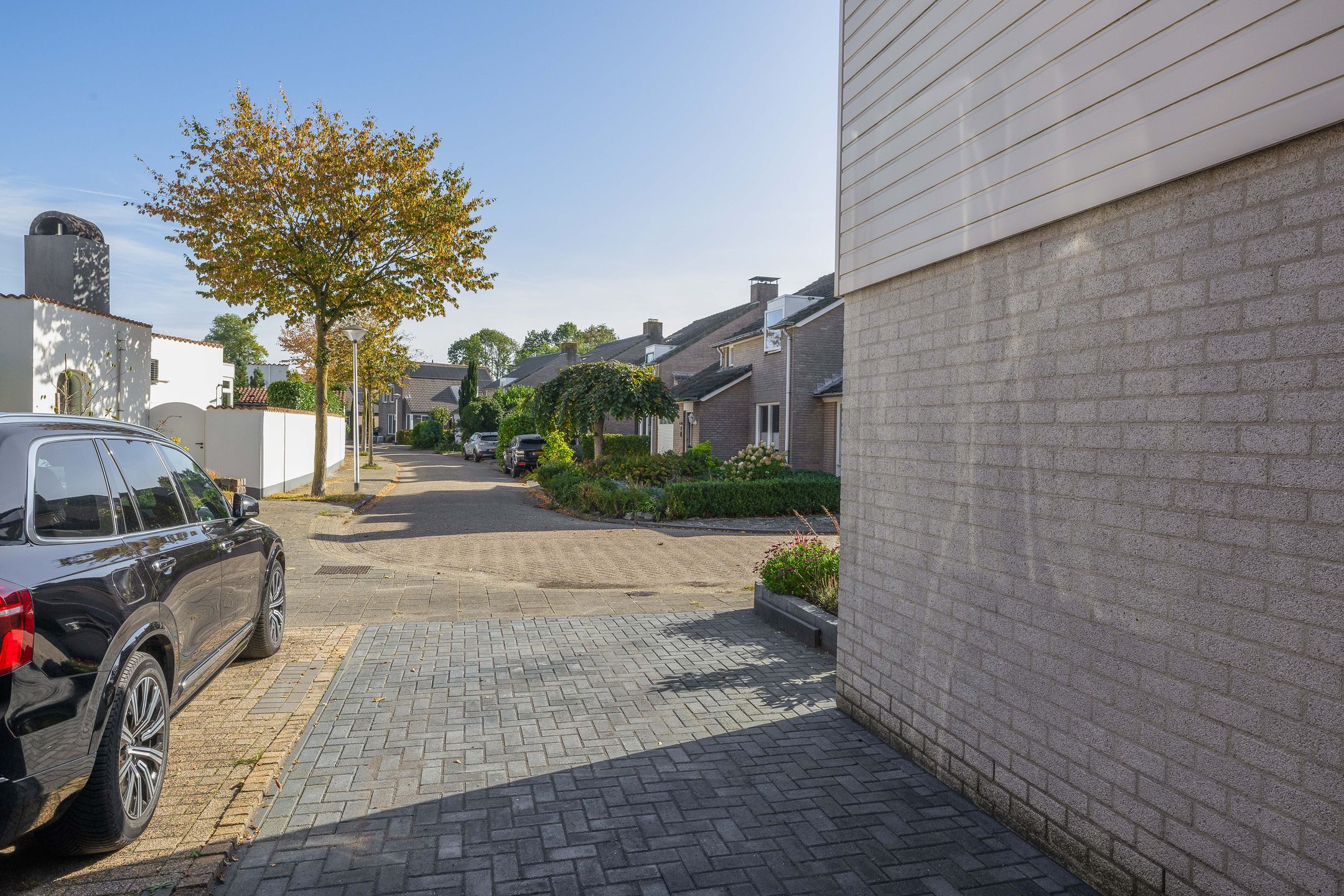 Foto 6 van Kaukasus 25