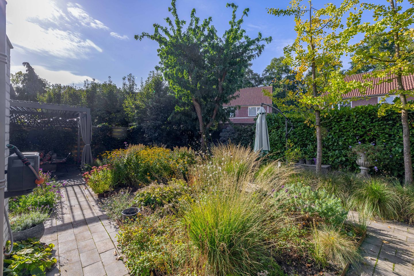 Foto 49 van Kaukasus 25