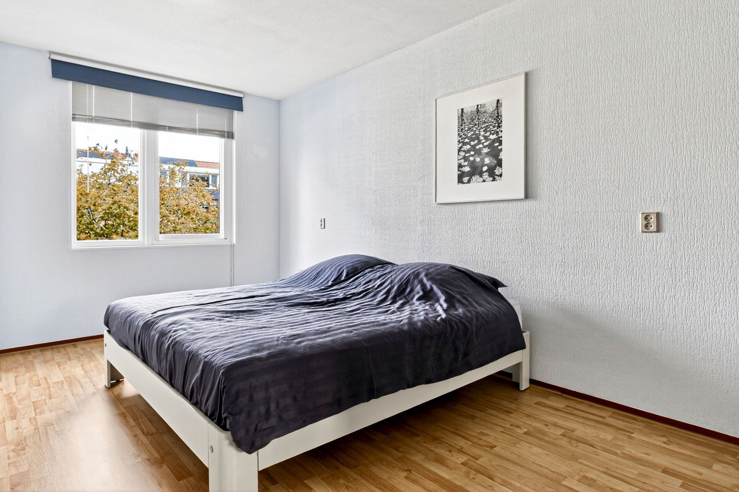 Photo 20 of Livingstonelaan 14