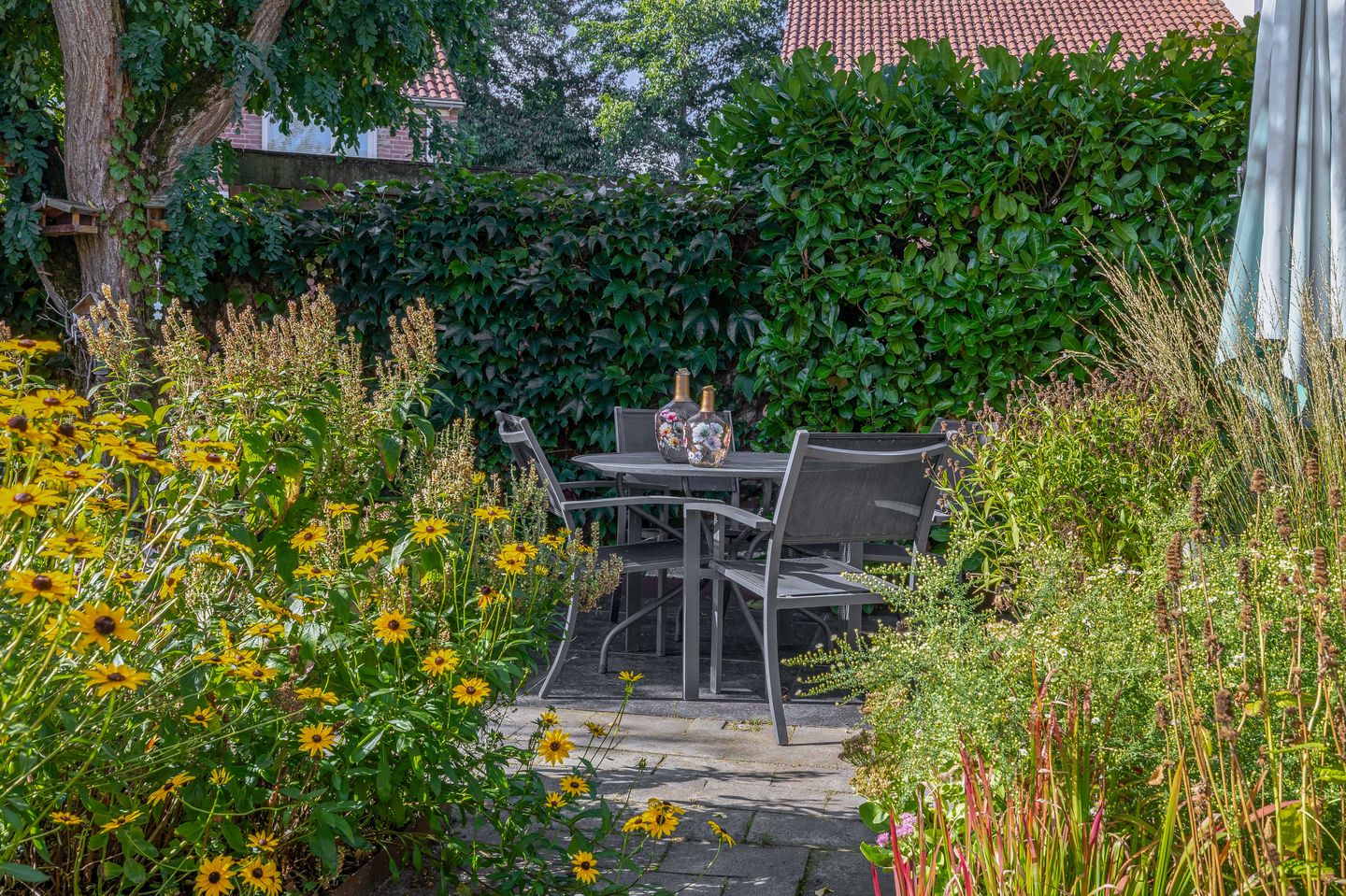 Foto 50 van Kaukasus 25