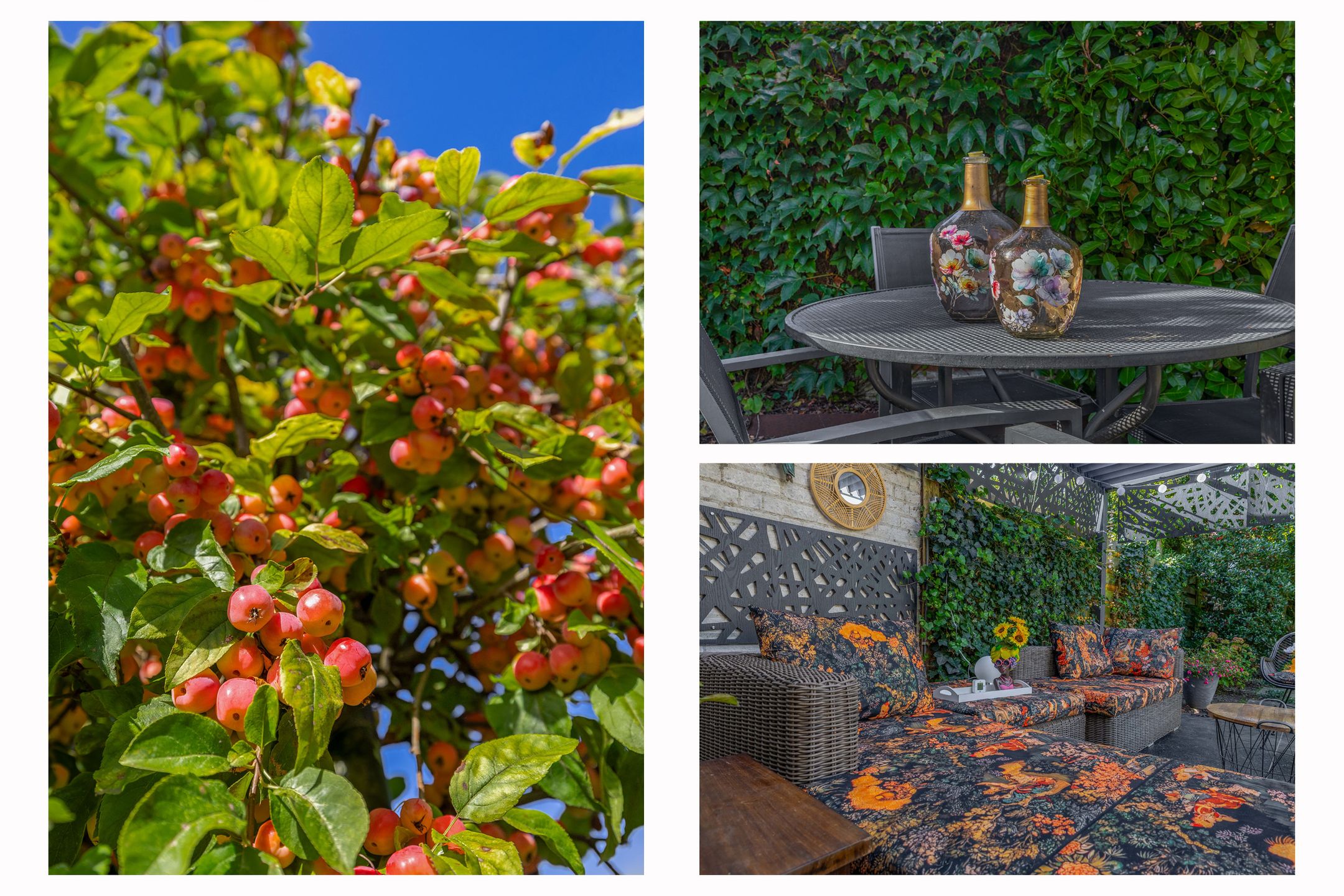 Foto 51 van Kaukasus 25