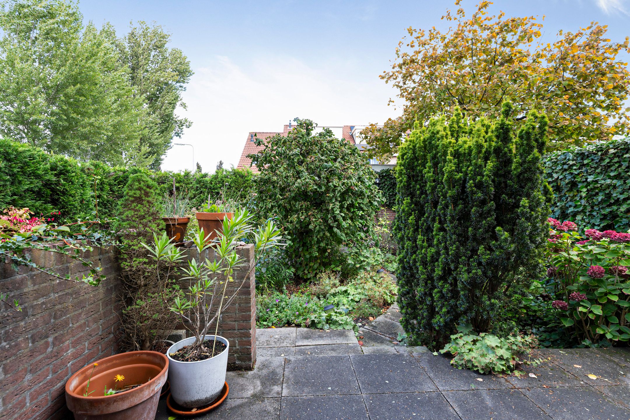 Photo 36 of Livingstonelaan 14