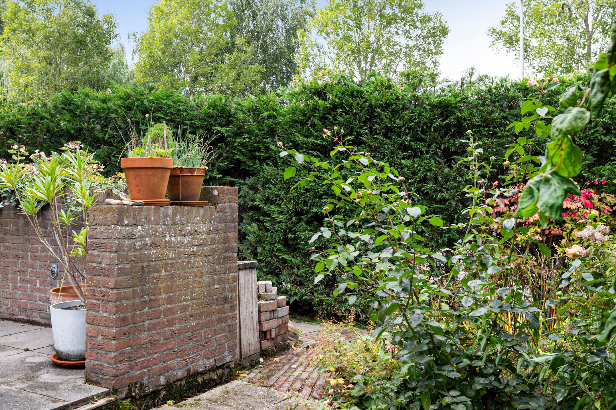 Photo 39 of Livingstonelaan 14