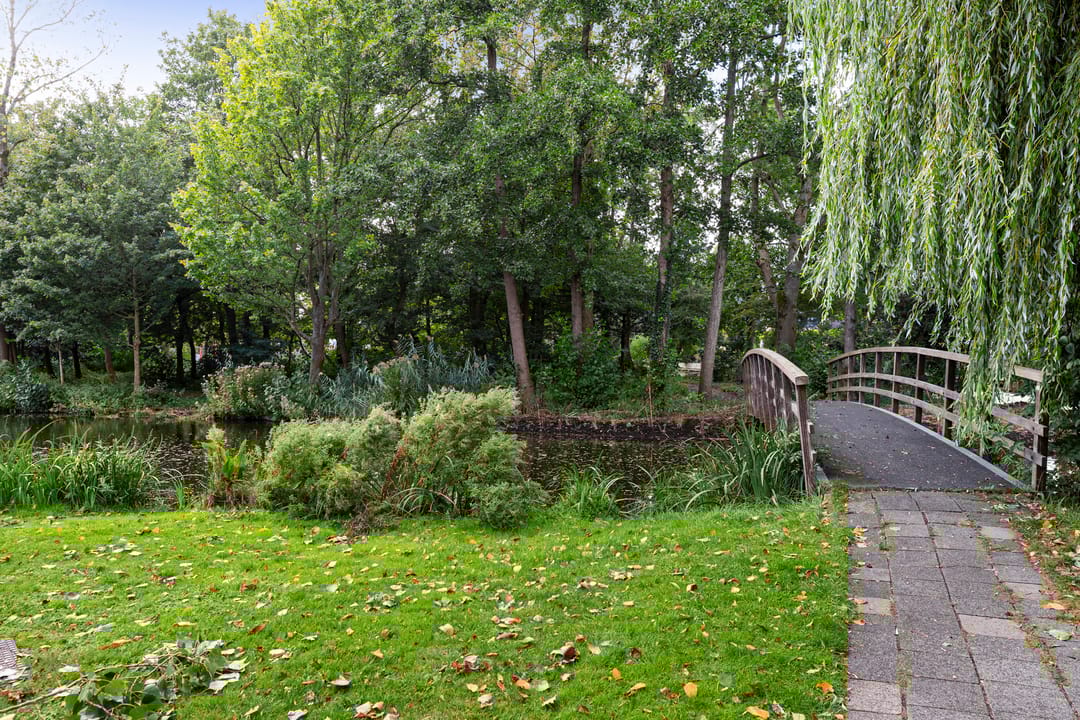 Photo 41 of Livingstonelaan 14