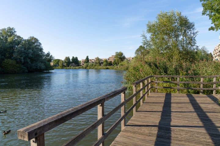 Foto 28 van Haringvlietstraat 287