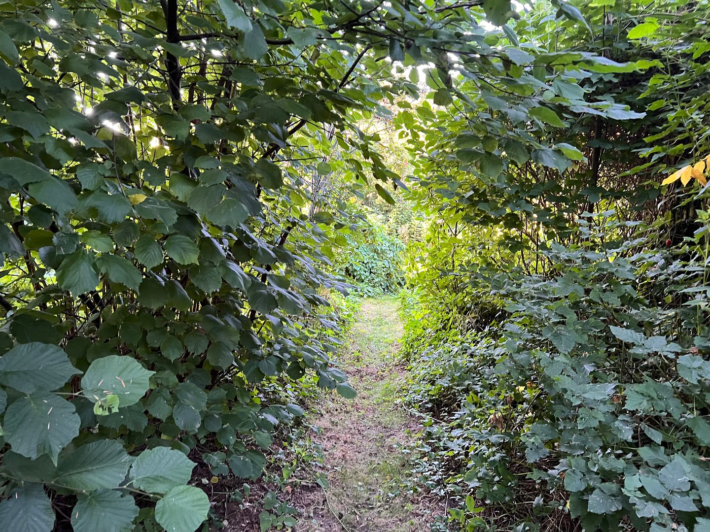 Foto 34 van Annerweg 39