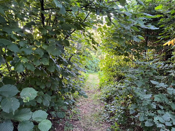 Foto 34 van Annerweg 39