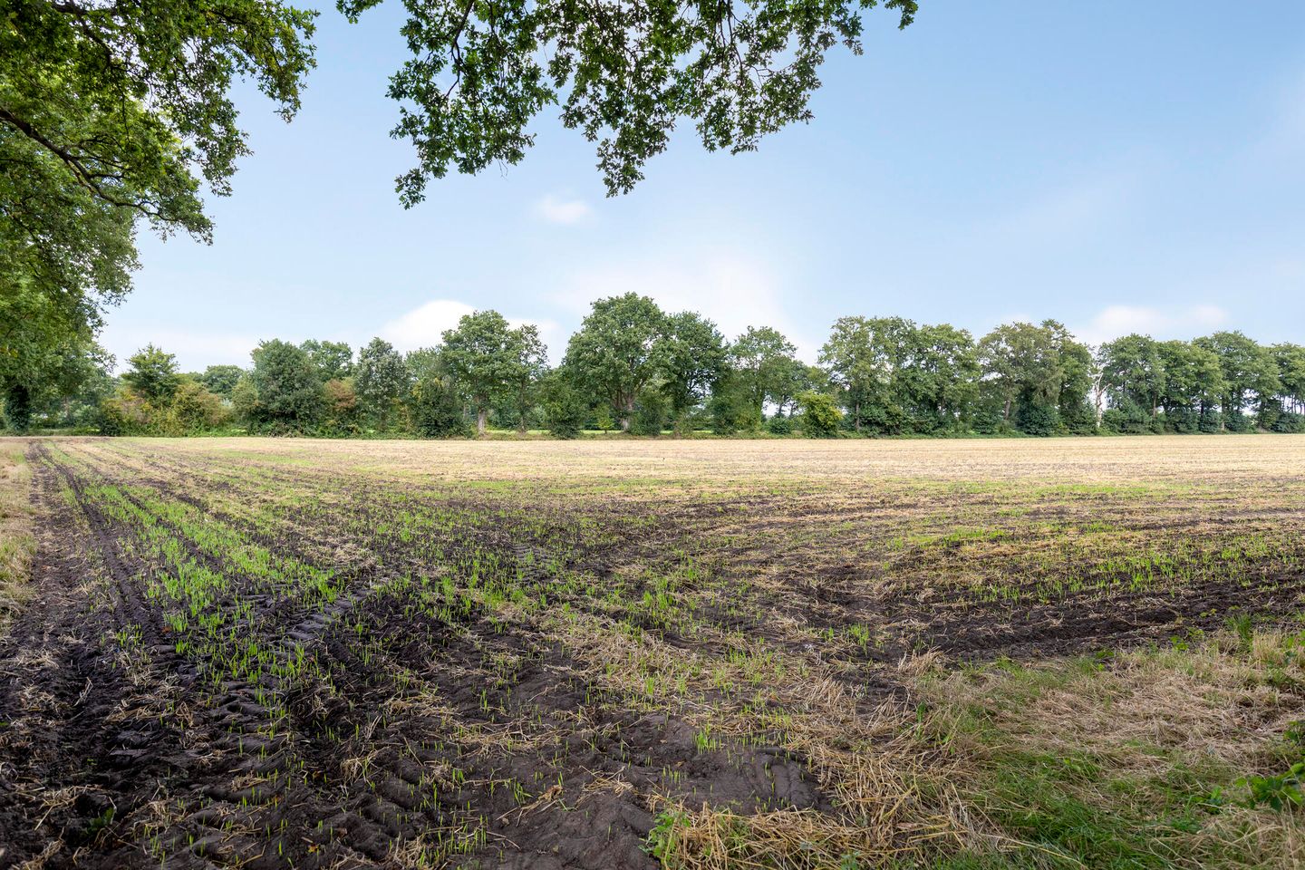 Foto 35 van Annerweg 39