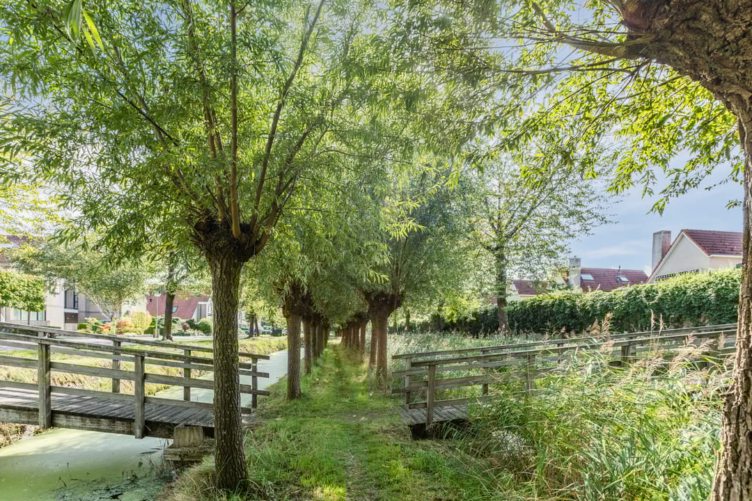 Foto 38 van Molenwindsingel 38