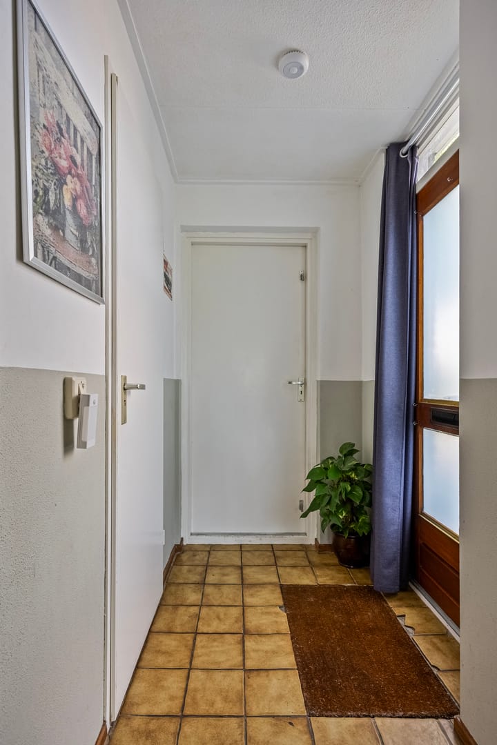 Foto 9 van Singel 17