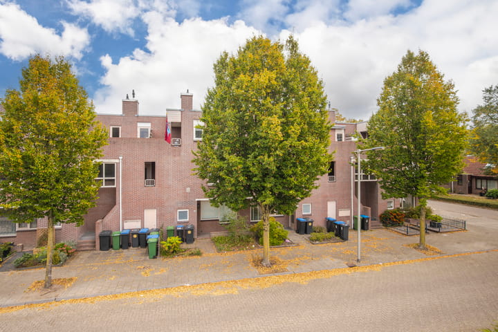 Foto 21 van Woudrichemstraat 17