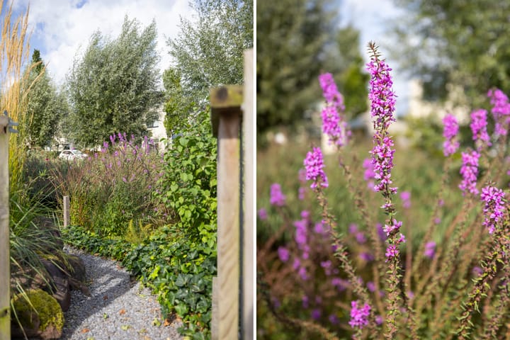 Foto 25 van Burgemeester Beelaertspark 85