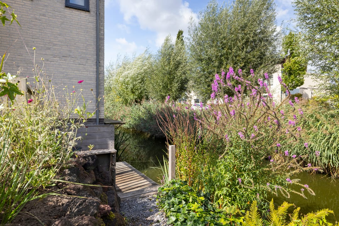 Foto 26 van Burgemeester Beelaertspark 85