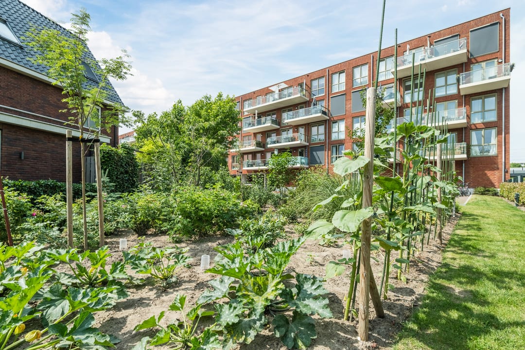 Photo 38 of Pablo Picassostraat 534