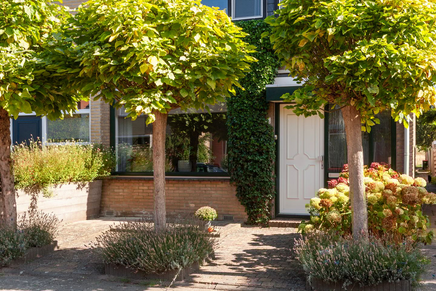 Photo 5 of Johan de Wittlaan 1