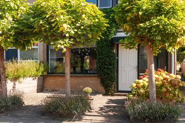 Photo 5 of Johan de Wittlaan 1