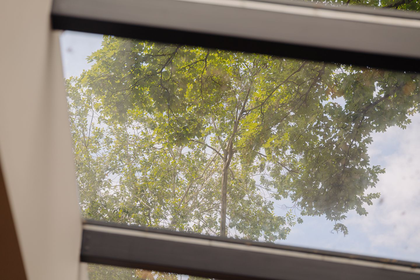 Foto 10 van Van Ostadestraat 62-H