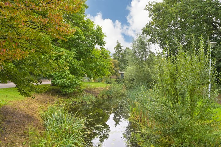 Photo 48 of Elzendreef 134