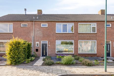 undefined main image