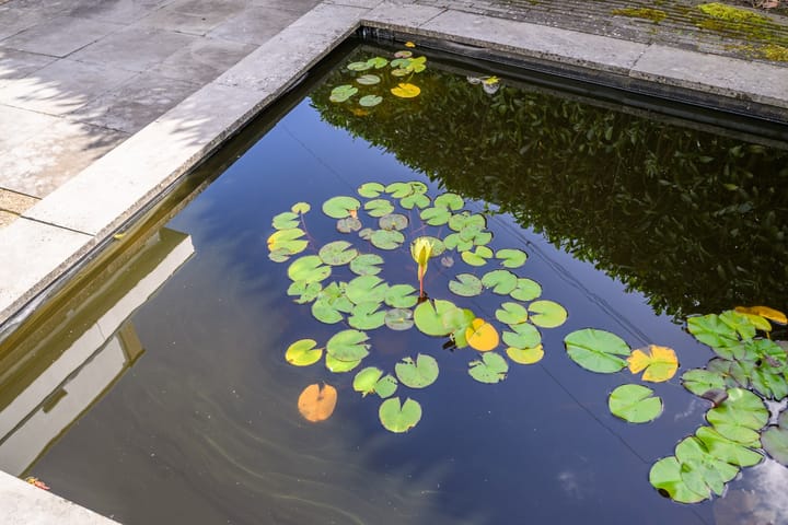 Foto 39 van Carel Willinklaan 56