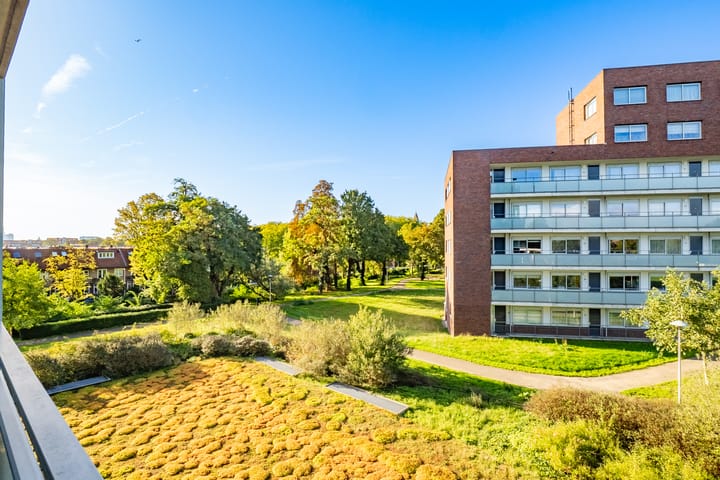 Foto 32 van Royaards van den Hamkade 241