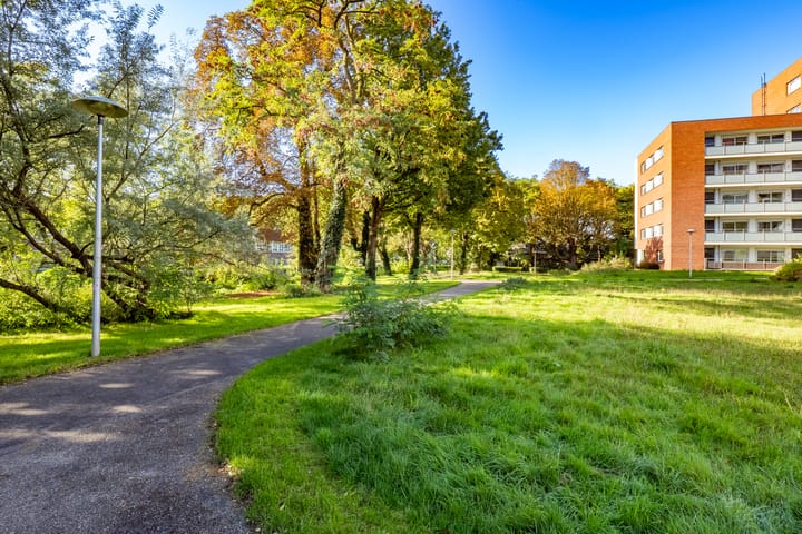 Foto 38 van Royaards van den Hamkade 241