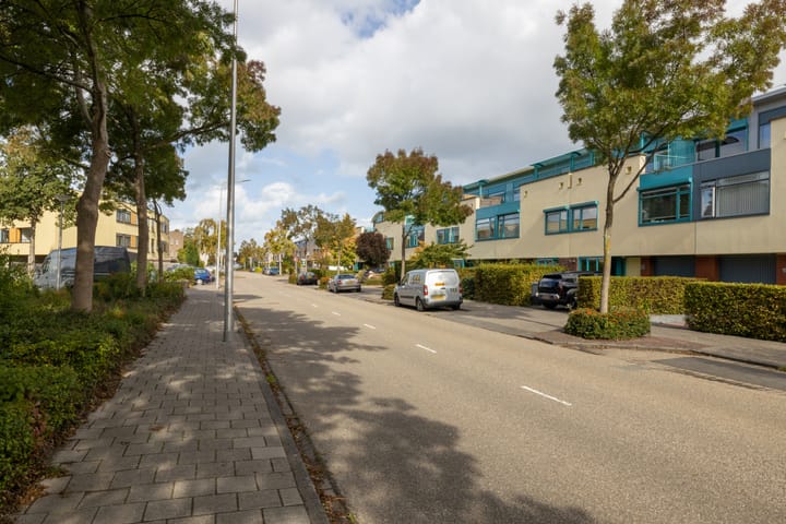 Foto 42 van Dreeslaan 164